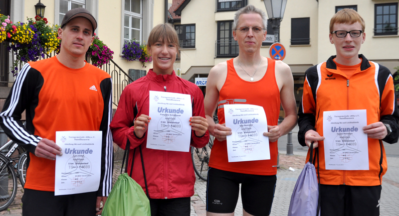 Sandhausen Lauf 2013