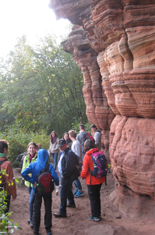 Wandern Pfalz