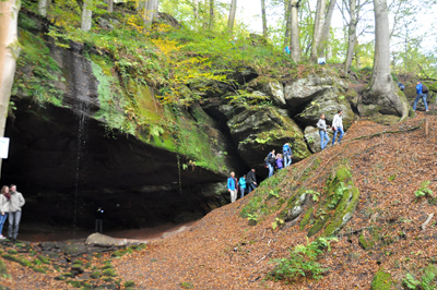 Wandern Pfalz