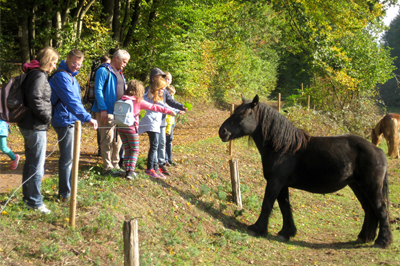 Wandern Pfalz