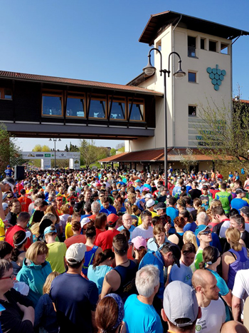 Weinstraßenmarathon Lauftreff Mannheim Seckenheim