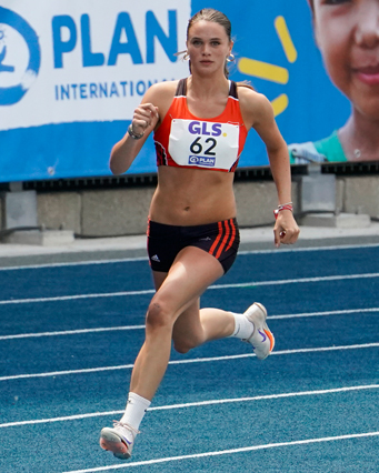 Ellis Staib